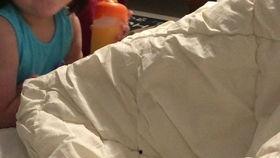 oli吃瓜视频,揭秘娱乐圈幕后故事